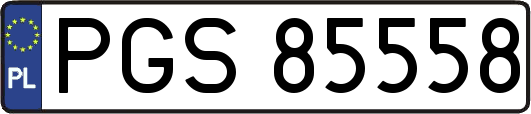 PGS85558