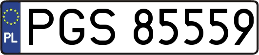 PGS85559