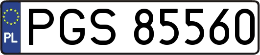 PGS85560