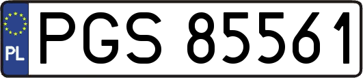 PGS85561
