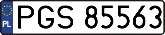 PGS85563