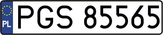PGS85565