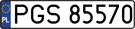 PGS85570
