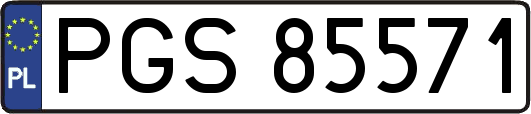 PGS85571