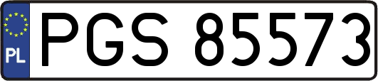 PGS85573