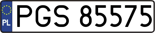 PGS85575