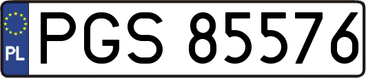 PGS85576