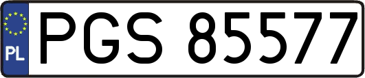 PGS85577