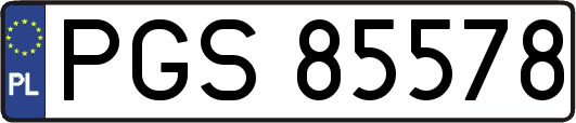 PGS85578
