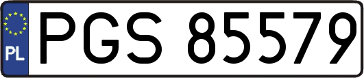 PGS85579