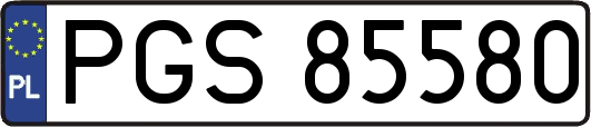 PGS85580