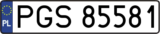 PGS85581