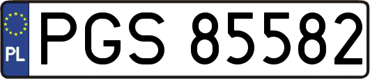 PGS85582