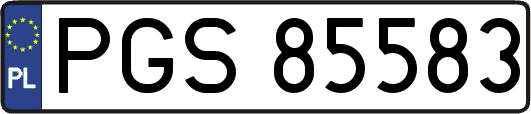 PGS85583