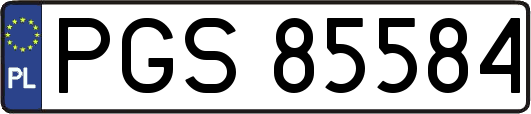 PGS85584