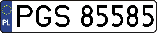 PGS85585
