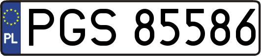 PGS85586