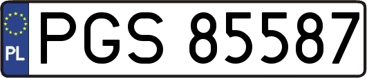 PGS85587
