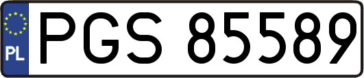 PGS85589