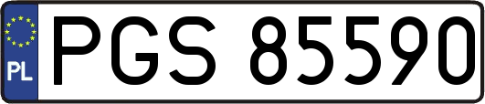 PGS85590