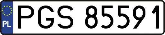 PGS85591