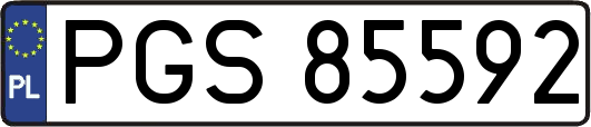 PGS85592