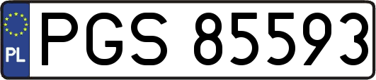 PGS85593