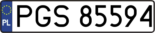 PGS85594