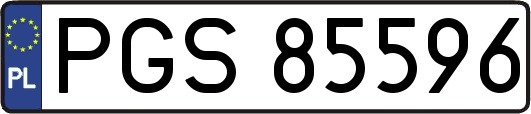 PGS85596