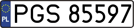 PGS85597