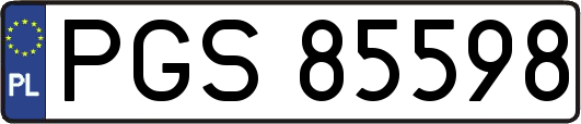 PGS85598