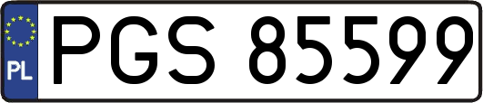 PGS85599