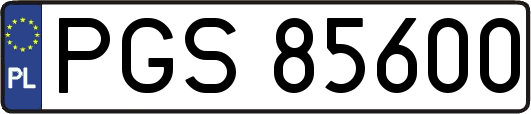 PGS85600