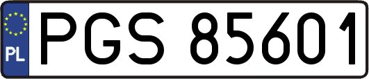 PGS85601