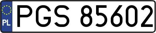 PGS85602