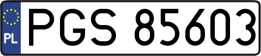 PGS85603