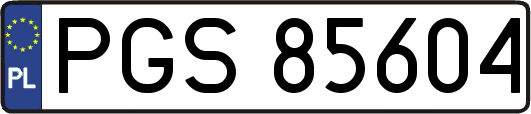 PGS85604