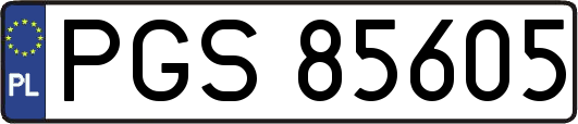PGS85605