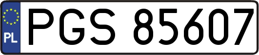 PGS85607