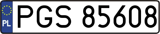 PGS85608