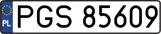 PGS85609