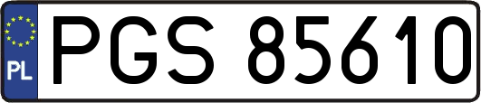 PGS85610
