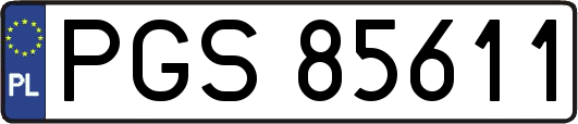 PGS85611