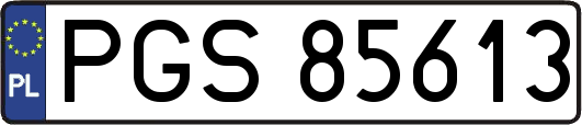 PGS85613
