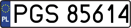 PGS85614