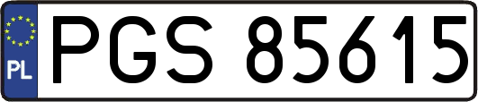 PGS85615