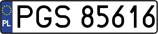 PGS85616
