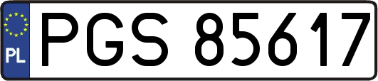 PGS85617