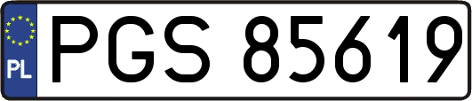 PGS85619