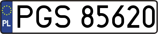 PGS85620